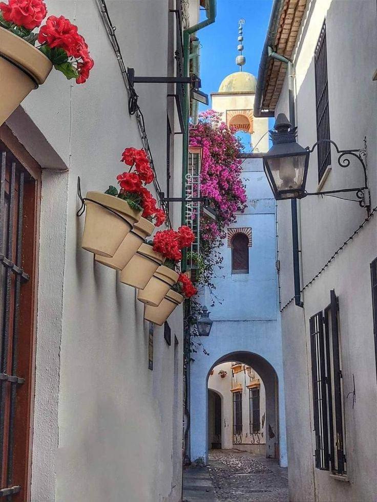Precioso Loft El Arcangel Junto A La Ribera กอร์โดบา ภายนอก รูปภาพ